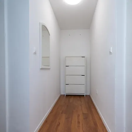 Dalmatino * بوسيدارجي